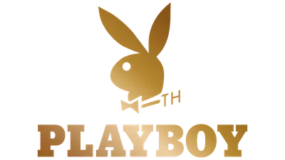 Наклейки Playboy – купить наклейки и знаки автомобильные на OZON по  выгодным ценам