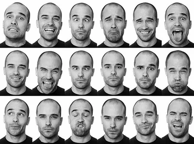 Выражение лица человека | Лицо, Выражения лица, Схемы лица