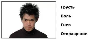 Как распознать эмоции человека по его лицу: Тест для сотрудников финансовых  компаний / Хабр