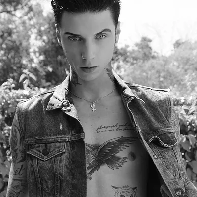 Andy Biersack - Wikipedia