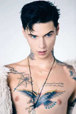 Andy Biersack 2015 | Andy black, Andy biersack, Black veil brides andy