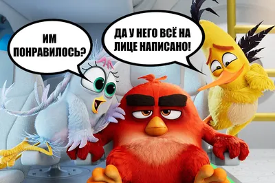 Angry Birds 2 в кино»: отзывы первых зрителей - Рамблер/кино