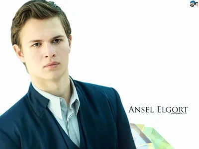 Обои Ansel Elgort, 5k, фото, Знаменитости #14067