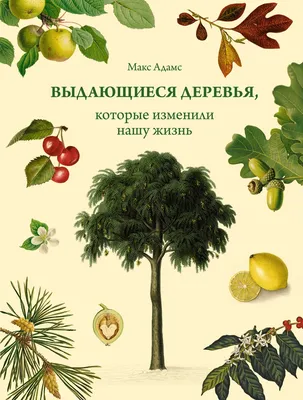 Здравствуй, Дерево: 11 книг для взрослых и детей, чтобы ощутить связь с  природой - Seasons