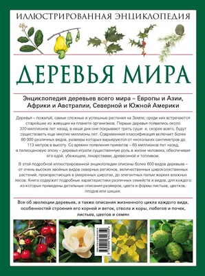 Читаем о деревьях: 5 книг о растениях для детей • 