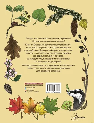 Деревья. Книжка с наклейками, цена — 539 р., купить книгу в  интернет-магазине