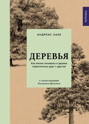 Книга Деревья и кустарники - купить детской энциклопедии в  интернет-магазинах, цены на Мегамаркет |