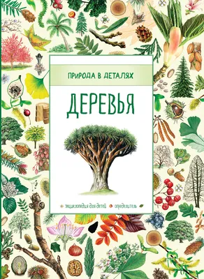 Большая иллюстрированная энциклопедия Деревья Час майстрів - Карточки Домана