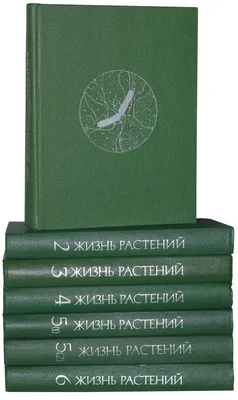 Иллюстрация 93 из 126 для Мой гербарий. Листья деревьев - Анна Васильева |  Лабиринт - книги. Источник: Трухина