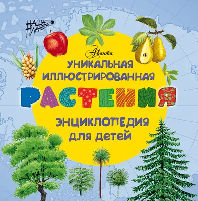 Моя первая энциклопедия. Тайны растений (Барсотти Э.) Издательство Омега -  купить книгу с доставкой в интернет-магазине издательства «Омега» ISBN:  978-5-465-03885-0