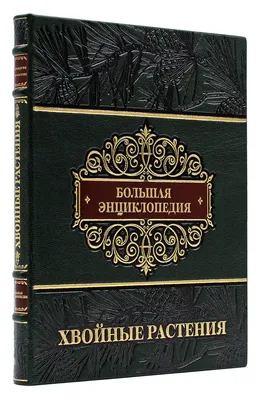 Большая энциклопедия Хвойные растения в кожаном переплете