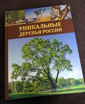 Книга «Деревья – памятники живой природы. Самые уникальные деревья России»  - Интернет-магазин Treemarket