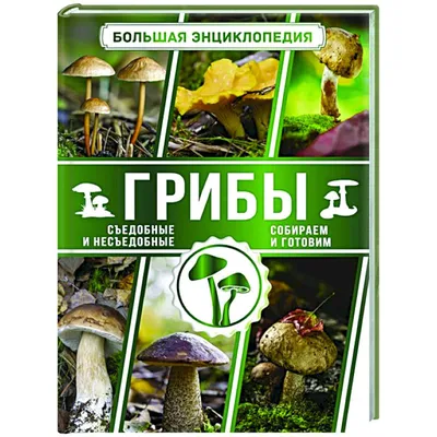 Грибы. Большая энциклопедия. 760 видов - купить с доставкой по выгодным  ценам в интернет-магазине OZON (204051051)