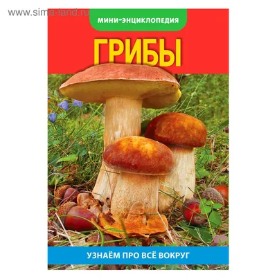 Энциклопедия грибов» — создано в Шедевруме