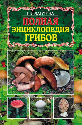 Большая иллюстрированная энциклопедия. Грибы России. Купить книгу за 859  руб.