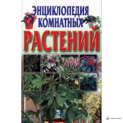 Книга Иллюстрированная энциклопедия комнатных растений Пол Вильямс  (ID#1935968979), цена: 585 ₴, купить на 