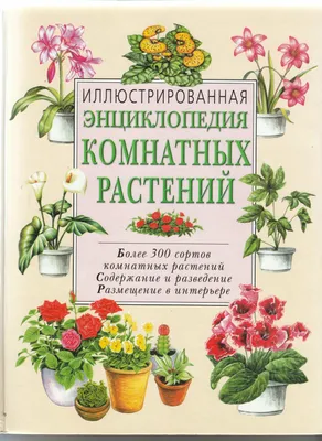 НОВЕЙШАЯ ЭНЦИКЛОПЕДИЯ КОМНАТНЫХ РАСТЕНИЙ , , ЭКСМО купить книгу  5-699-47040-2 – Лавка Бабуин, Киев, Украина