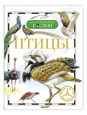 Иллюстрированная энциклопедия птиц — купить в интернет-магазине по низкой  цене на Яндекс Маркете