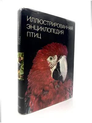 Книга "Птицы. Визуальная энциклопедия" Эддертон Д - купить книгу в  интернет-магазине «Москва» ISBN: 978-5-699-50463-3, 588284