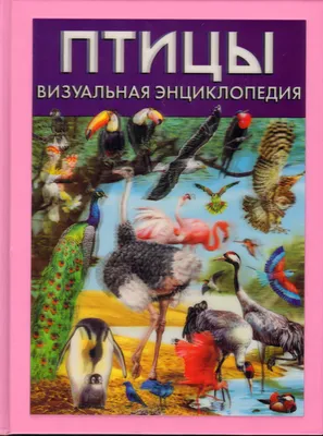 Детская энциклопедия «Птицы» (1100323) - Купить по цене от  руб. |  Интернет магазин 