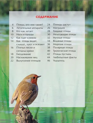 Птицы. Визуальная энциклопедия | Zangak Bookstore
