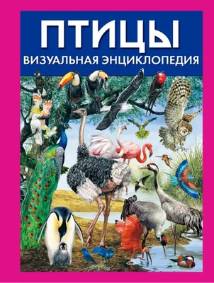 Иллюстрированная энциклопедия птиц. 1974 купить на | Аукціон для  колекціонерів  