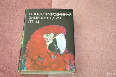 Ян Ганзак. Иллюстрированная энциклопедия птиц (ID#1584575695), цена: 320 ₴,  купить на 