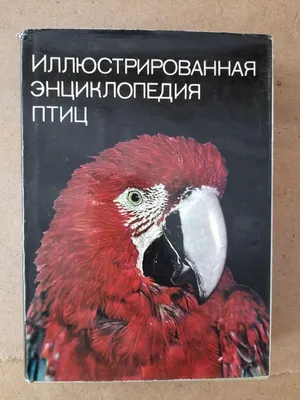 Детская энциклопедия "Птицы" Джиллиан Догерти - «Занимательная серия  ЭНЦИКЛОПЕДИЙ издательства РОСМЭН. Ярко и познавательно о ПТИЦАХ: красочные  ИЛЛЮСТРАЦИИ и доступное ИЗЛОЖЕНИЕ материала.» | отзывы