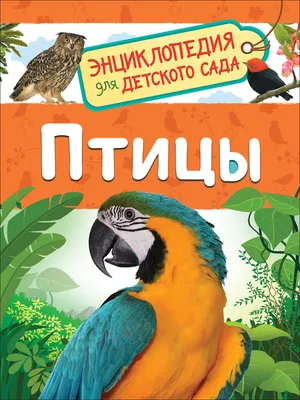 Энциклопедия птиц России для детей. Ред. Феданова Ю.,Скиба Т. (5329367) -  Купить по цене от  руб. | Интернет магазин 