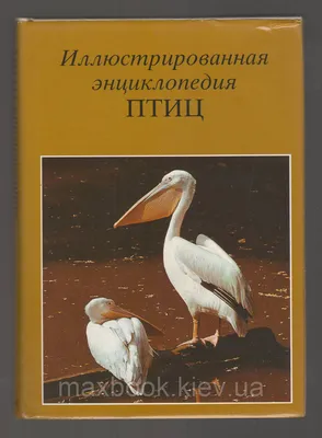 Энциклопедия декоративных и экзотических птиц | Умельцев А. П. - купить с  доставкой по выгодным ценам в интернет-магазине OZON (193434070)