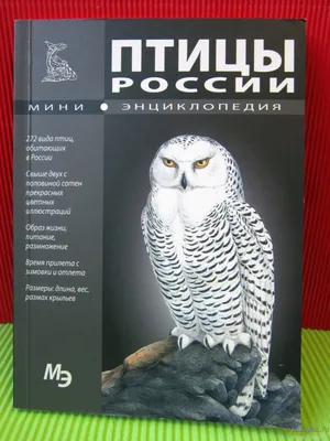 Книга "Мини-энциклопедия Птицы России" от автора А. Шаронова - Словари,  справочники, энциклопедии - Форум отзывов