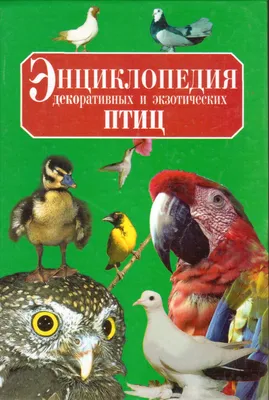 Ганзак Я. Иллюстрированная энциклопедия птиц (б/у). (ID#1383186607), цена:  599 ₴, купить на 