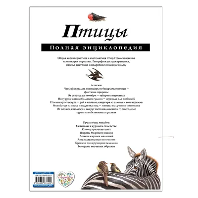 Птицы. Детская энциклопедия. Купить книгу за 636 руб.