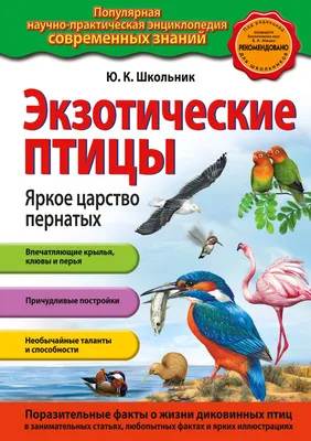 Иллюстрированная энциклопедия птиц. 750 видов интересных: 30 AZN ➤ Книги,  журналы, CD, DVD | Баку | 53186125 ᐈ 