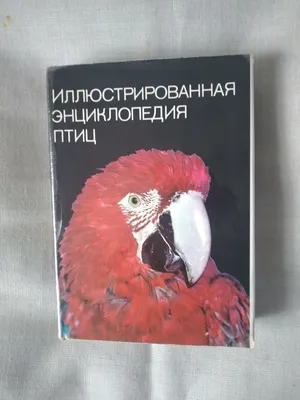 Энциклопедия Птицы (7085119) - Купить по цене от 2  руб. | Интернет  магазин 