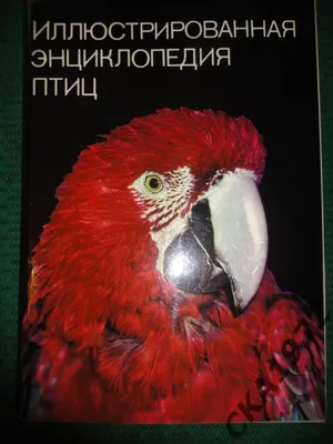 Ганзак Я. Иллюстрированная энциклопедия птиц (б/у). (ID#1383186607), цена:  599 ₴, купить на 