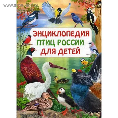 Птицы. Полная иллюстрированная энциклопедия, , АСТ купить книгу  978-5-17-053424-1 – Лавка Бабуин, Киев, Украина