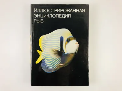 Книга Рыбы Рек и Озер. Всемирная Иллюстрированная Энциклопедия - купить в  интернет-магазинах, цены на Мегамаркет |