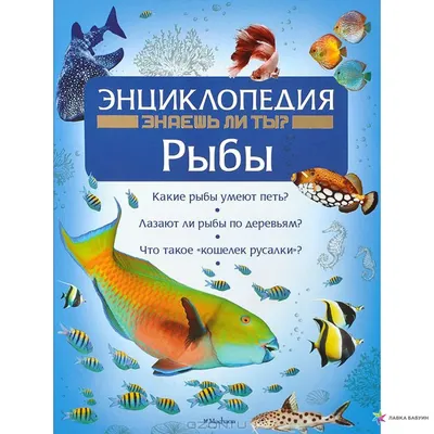 Иллюстрированная энциклопедия рыб - купить с доставкой по выгодным ценам в  интернет-магазине OZON (255000283)