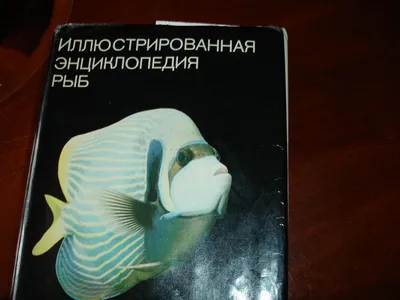 Ст.Франк. Иллюстрированная энциклопедия рыб — Покупайте на   по выгодной цене. Лот из Одесская, Одесса. Продавец Н-Плюшка. Лот  192970329806106