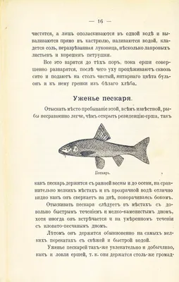 Руководство к уженью рыб 1913 года | Пикабу