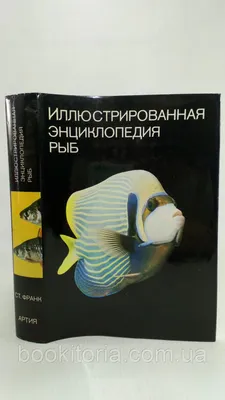 Иллюстрированная энциклопедия рыб. - купить с доставкой по выгодным ценам в  интернет-магазине OZON (945000983)