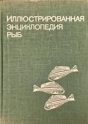 РЫБЫ • Большая российская энциклопедия - электронная версия