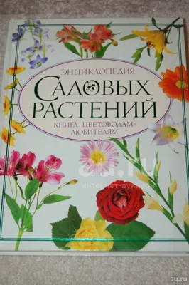 Садовый дизайн. Энциклопедия садовых растений от А до Я | Попова Ю. -  купить с доставкой по выгодным ценам в интернет-магазине OZON (1164710461)