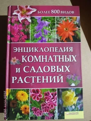 Энциклопедия о садовых цветах — купить в Красноярске. Сад, огород, цветы на  интернет-аукционе 