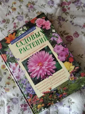 Книга, цветы, растения, энциклопедия садовых растений.: 105 грн. - Книги /  журналы Днепр на Olx