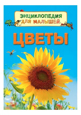 Энциклопедия комнатных и садовых растений. Более 800 видов. Бойчук Ю.Д.  (ID#1293512059), цена: 575 ₴, купить на 