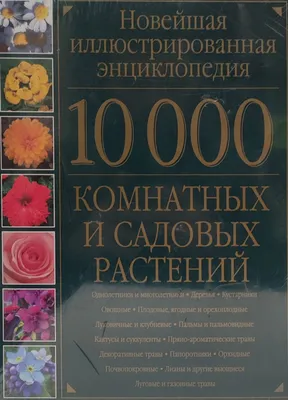 Книга Новая Энциклопедия Садовода и Огородника - купить дома и досуга в  интернет-магазинах, цены на Мегамаркет | 178615