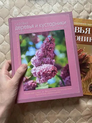 Книга Садовые розы Большая энциклопедия [2 серебряная фольга] Галина  Панкратова - купить, читать онлайн отзывы и рецензии | ISBN  978-5-699-61331-1 | Эксмо