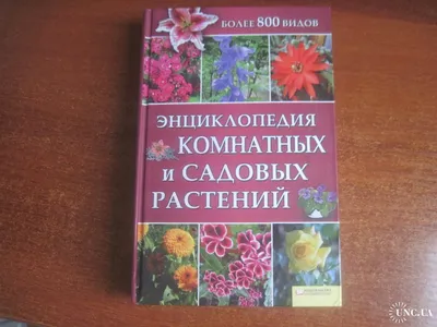 Книга "Библия садовых растений. (+ подарок)" Березкина И В, Григорьева Н В  - купить книгу в интернет-магазине «Москва» ISBN: 978-5-699-63215-2, 666608